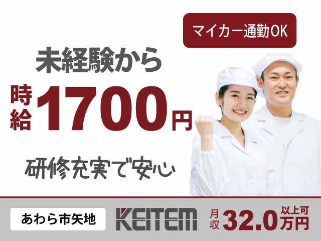 福井県あわら市矢地、求人、医薬品の製造	