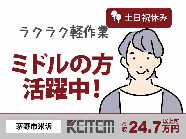 長野県茅野市、求人、目視で検査作業	